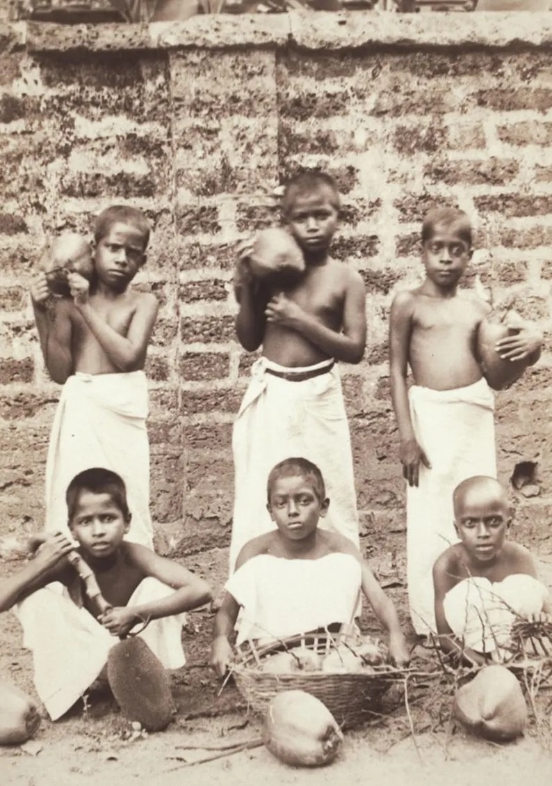 1905 photo of boys in Kerala with white dhoti's and belt. 1905 photo of boys in Kerala with white dhoti's and belt.